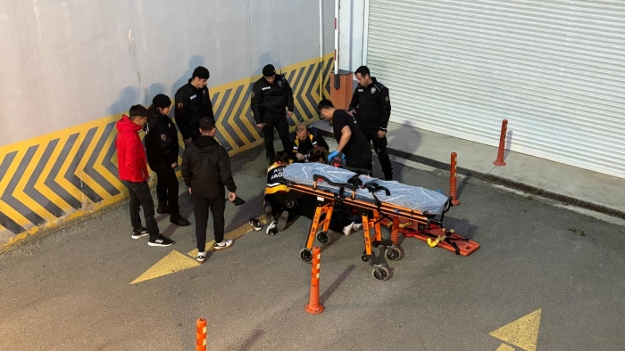 Eskişehirspor taraftarı stadyumda 2,5 metre yükseklikten düştü